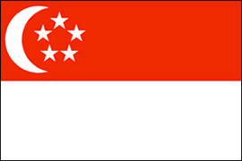 Singapore process server
